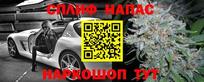 гашик Канаш